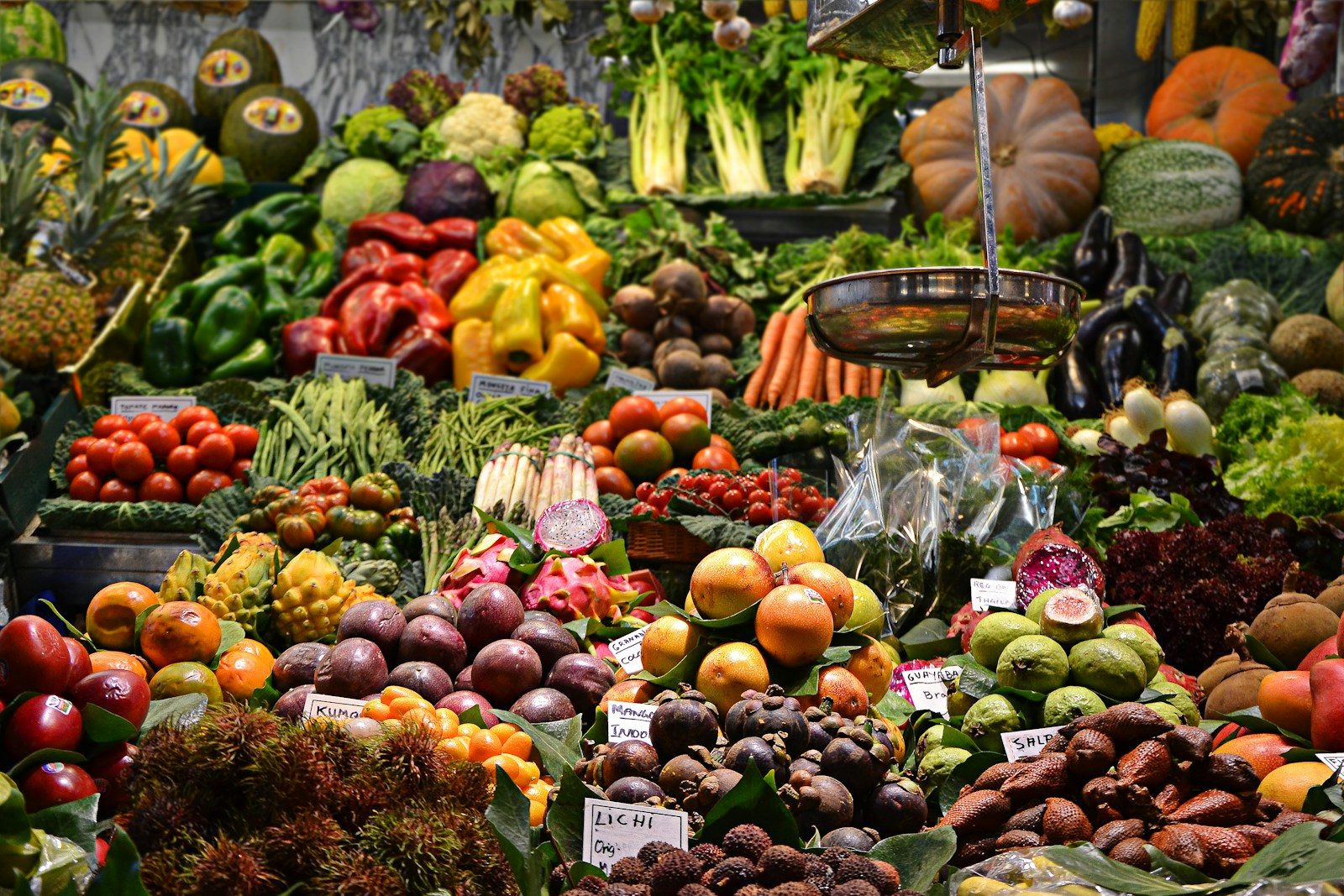 Frischkost im Jahreslauf: Saisonale Obst- und Gemüse-Empfehlungen für Wellensittiche