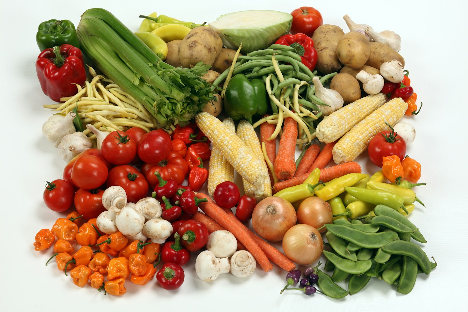 Frischkost für Wellensittiche: Die komplette Liste mit Obst, Gemüse, Kräutern & Mengen
