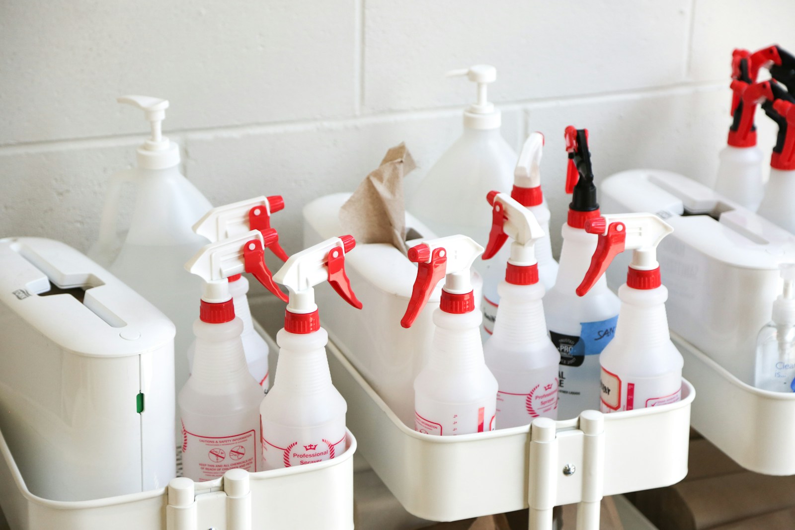 Käfig-Reinigung: Die ideale Routine für Hygiene und Vogel-Gesundheit