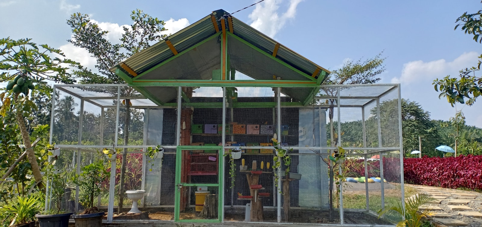 Wellensittich-Voliere selber bauen: Anleitung, Material, Kosten